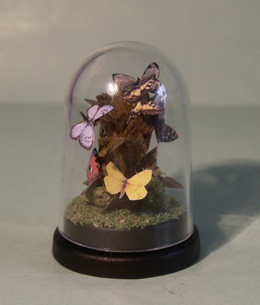 Dolls house butterflies