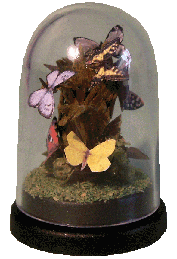 Dolls house butterflies